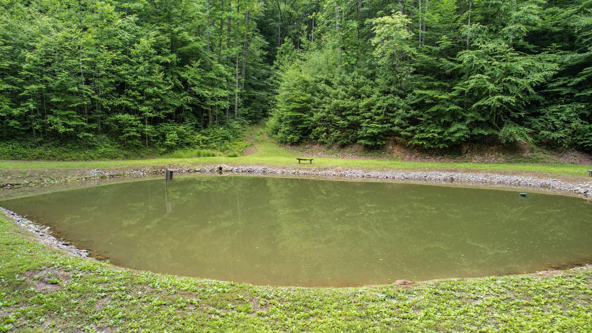 201 Campbell Branch Road Reliance, TN 37369 - Photo 62 of 99