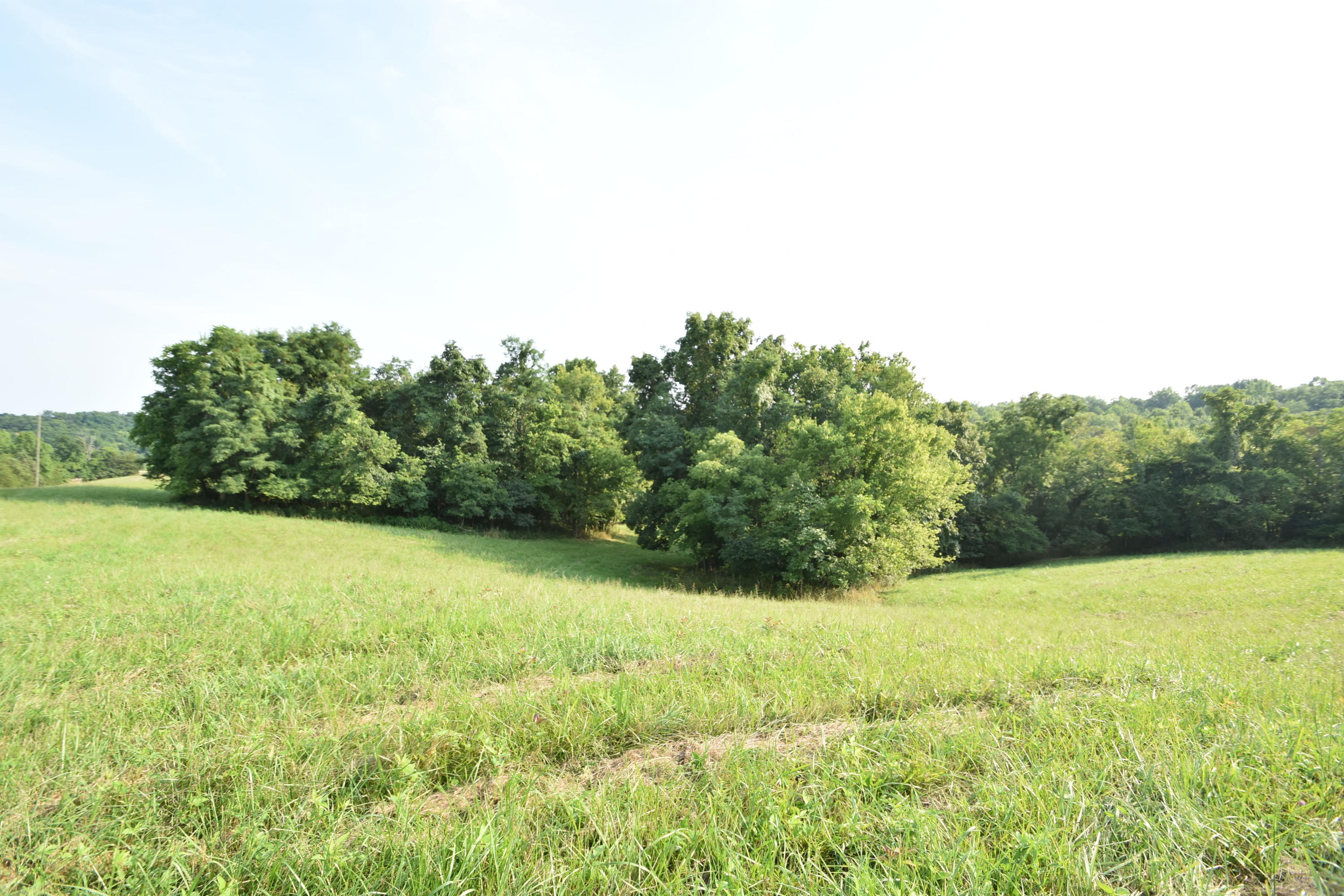 580 Fallis Run Road Harrodsburg, KY 40330 - Photo 32 of 43 DSC_0358