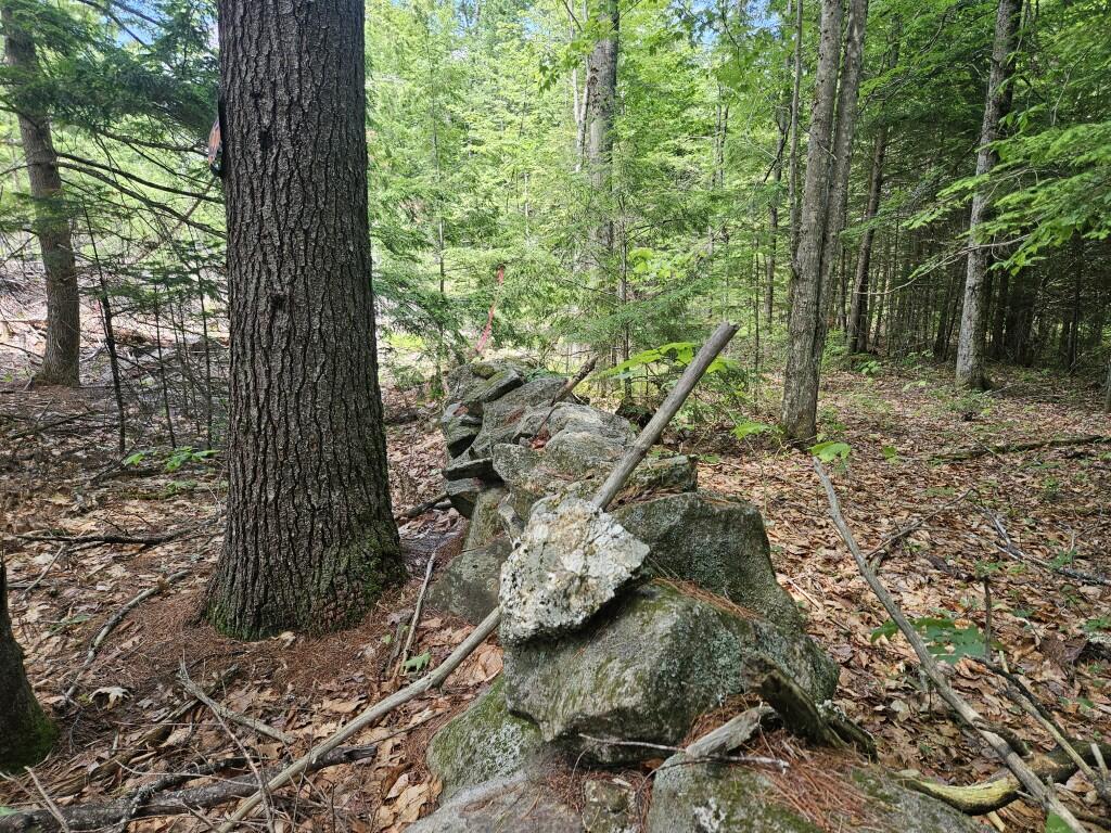 Multiple Quaker Ridge Road Leeds, ME 04263 - Photo 19 of 79 20260624_132825