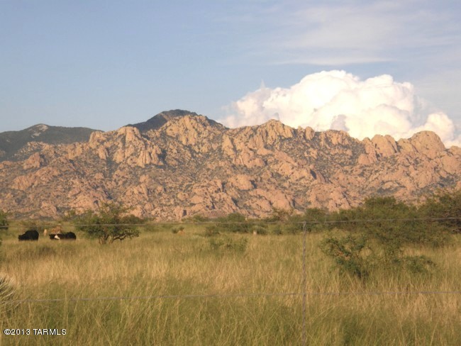 Lot 62 East Naiche Road, Unit 62 St. David, AZ 85630 - Photo 5 of 20