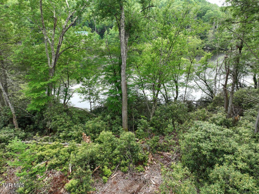 1768 Ripshin Mountain Road, Unit 54 Roan Mountain, TN 37687 - Photo 11 of 43 DJI_0085