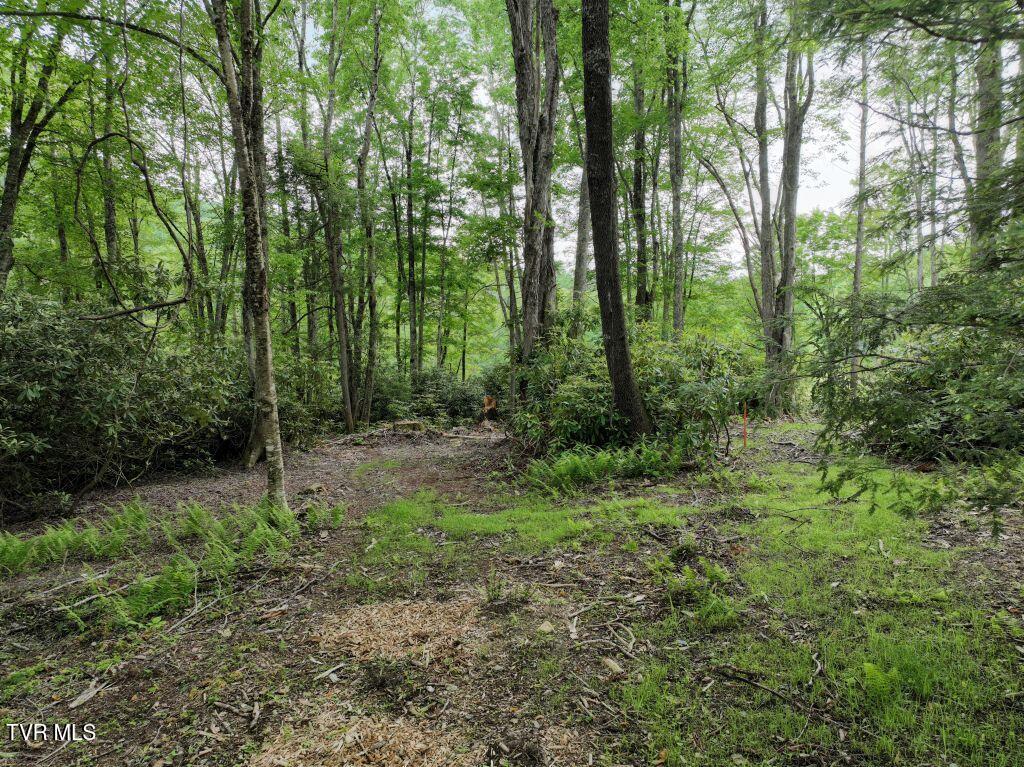 1768 Ripshin Mountain Road, Unit 54 Roan Mountain, TN 37687 - Photo 17 of 43 DJI_0069