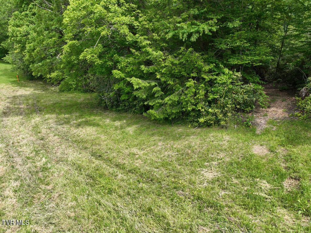 1768 Ripshin Mountain Road, Unit 54 Roan Mountain, TN 37687 - Photo 26 of 43 DJI_0120