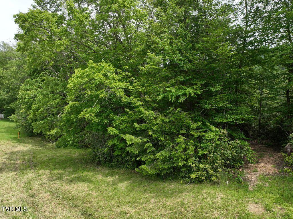 1768 Ripshin Mountain Road, Unit 54 Roan Mountain, TN 37687 - Photo 27 of 43 DJI_0121