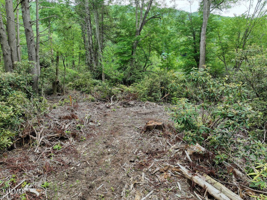 1768 Ripshin Mountain Road, Unit 54 Roan Mountain, TN 37687 - Photo 8 of 43 DJI_0081