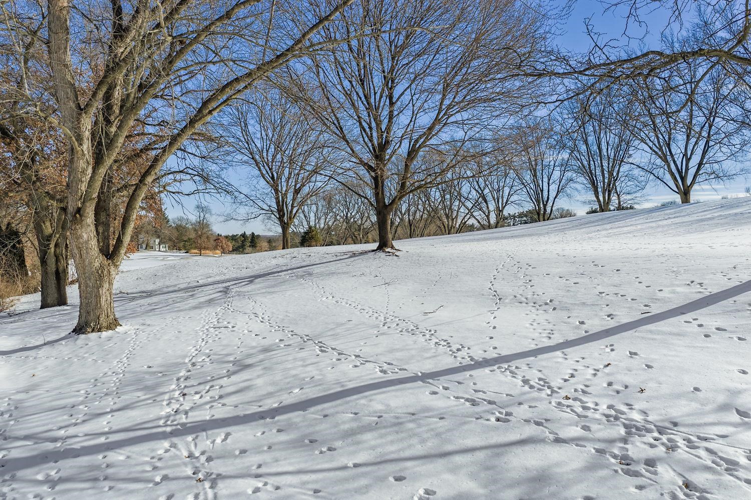 E7173 Eagle Ridge Court Reedsburg, WI 53959 - Photo 38 of 43