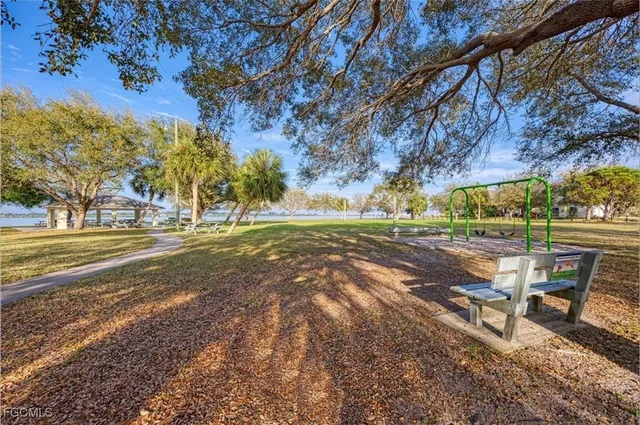 a view of a park with large trees