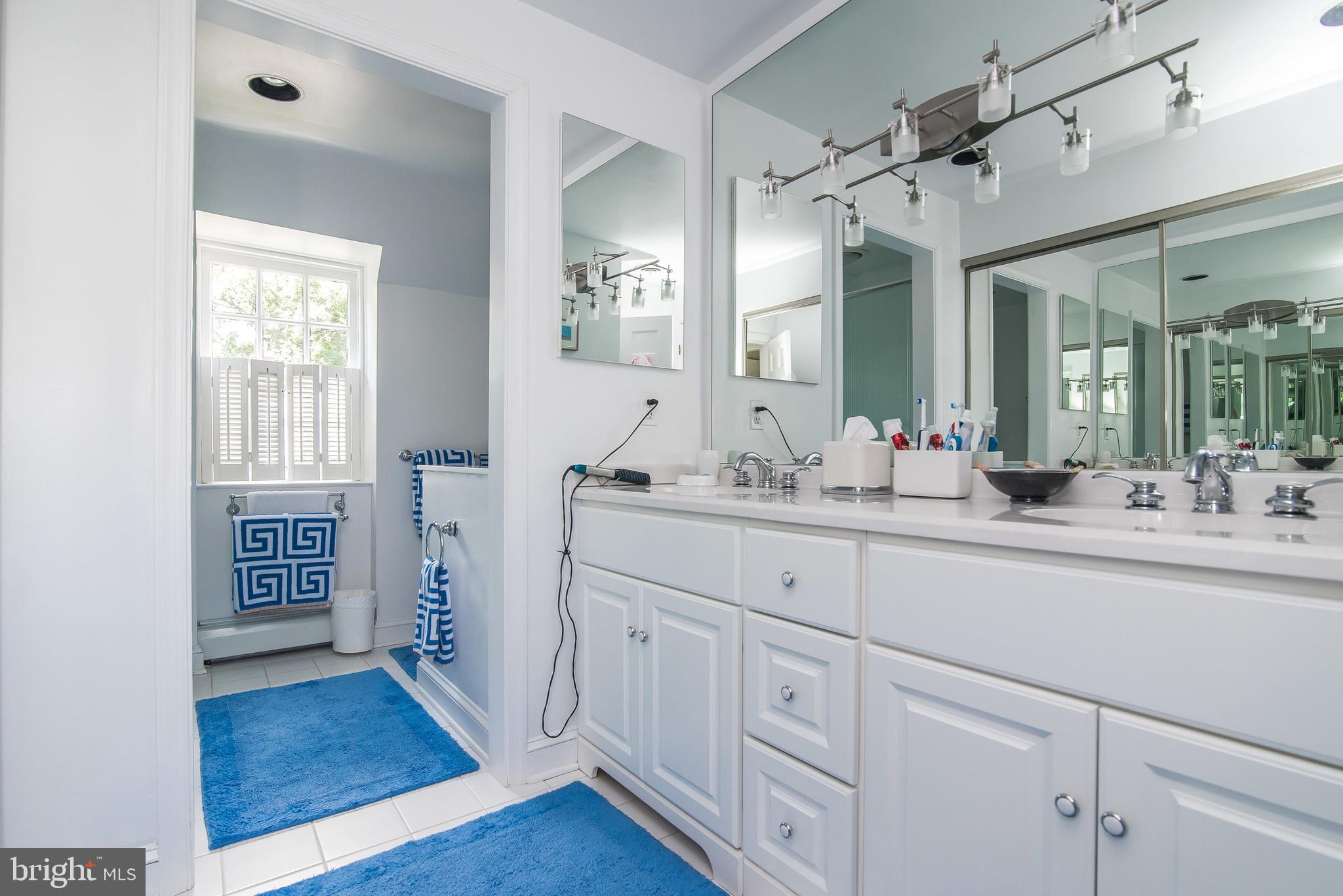 217 Paddington Road Baltimore, MD 21212 - Photo 33 of 70 Master Bathroom