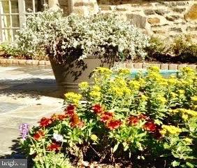 217 Paddington Road Baltimore, MD 21212 - Photo 65 of 70 Garden View
