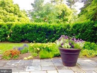 217 Paddington Road Baltimore, MD 21212 - Photo 66 of 70 Garden View