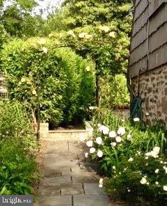 217 Paddington Road Baltimore, MD 21212 - Photo 69 of 70 Garden View