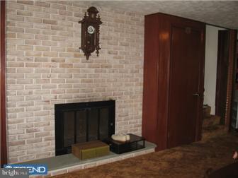 44 Mast Road Oley, PA 19547 - Photo 11 of 12 Fireplace