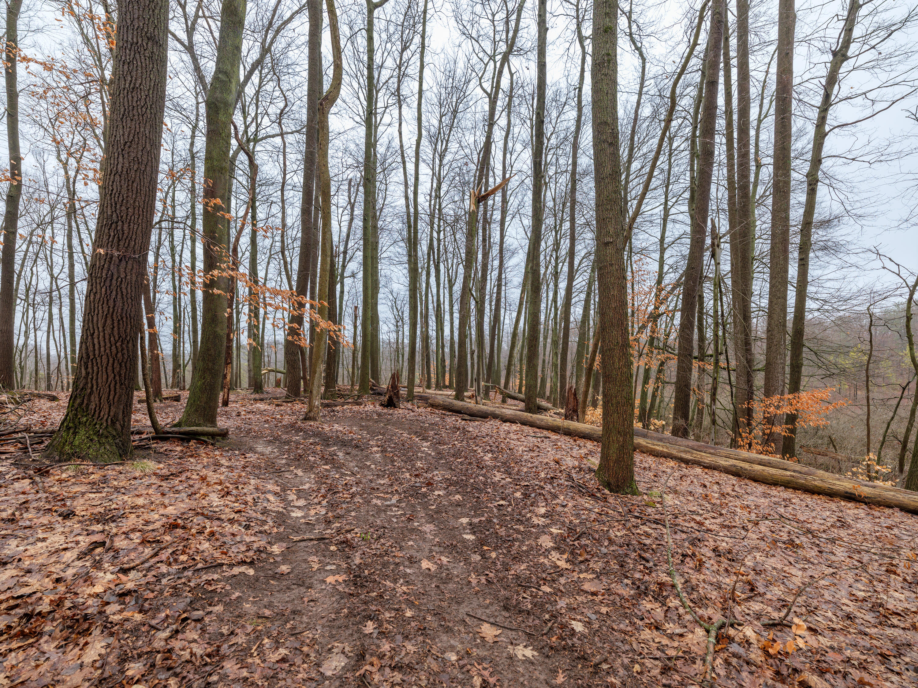 22431 Paulson Road Gobles, MI 49055 - Photo 31 of 32 22431 Paulson Rd-127