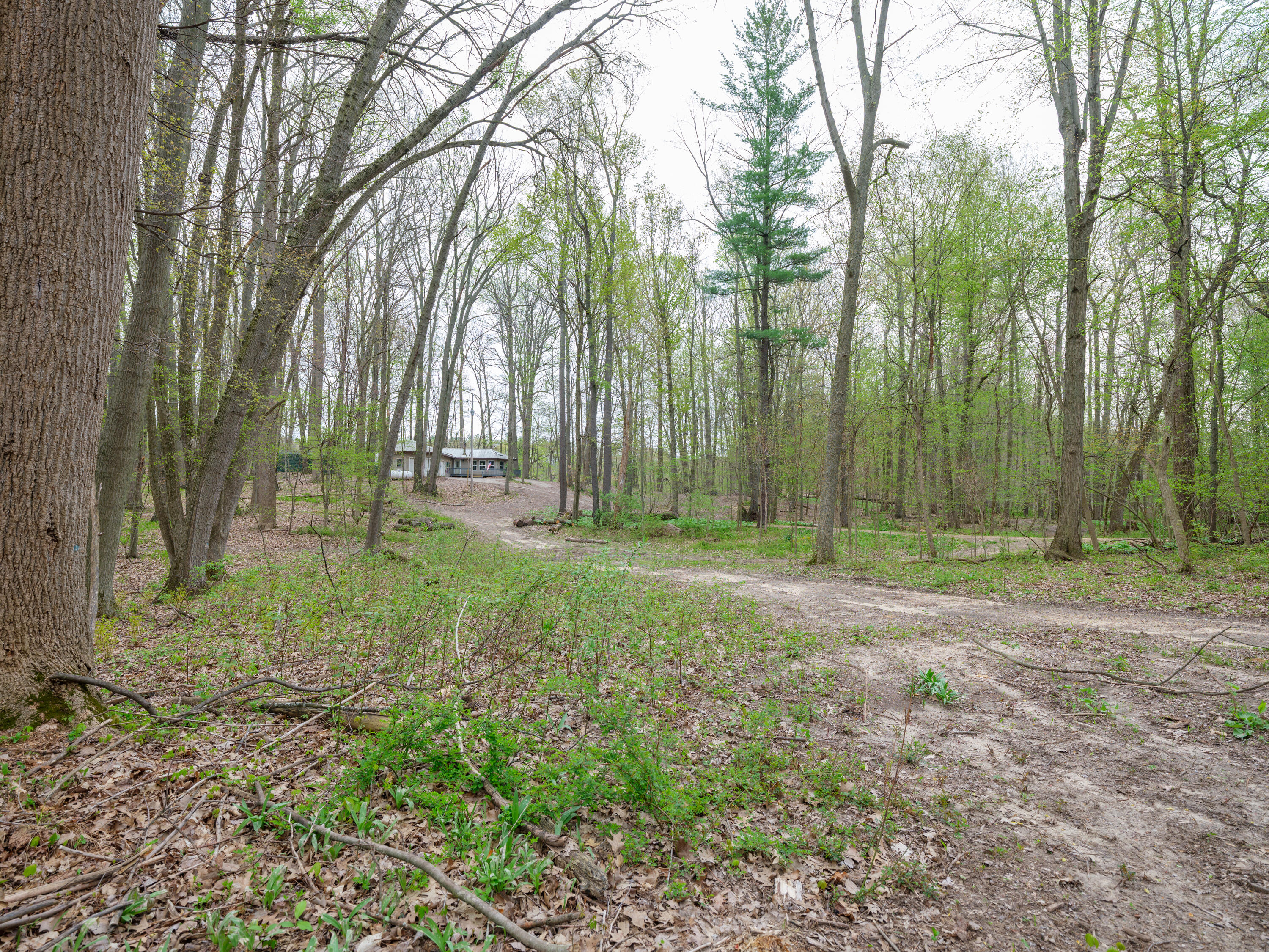 22431 Paulson Road Gobles, MI 49055 - Photo 36 of 52 22431 Paulson Rd Reshoot-216