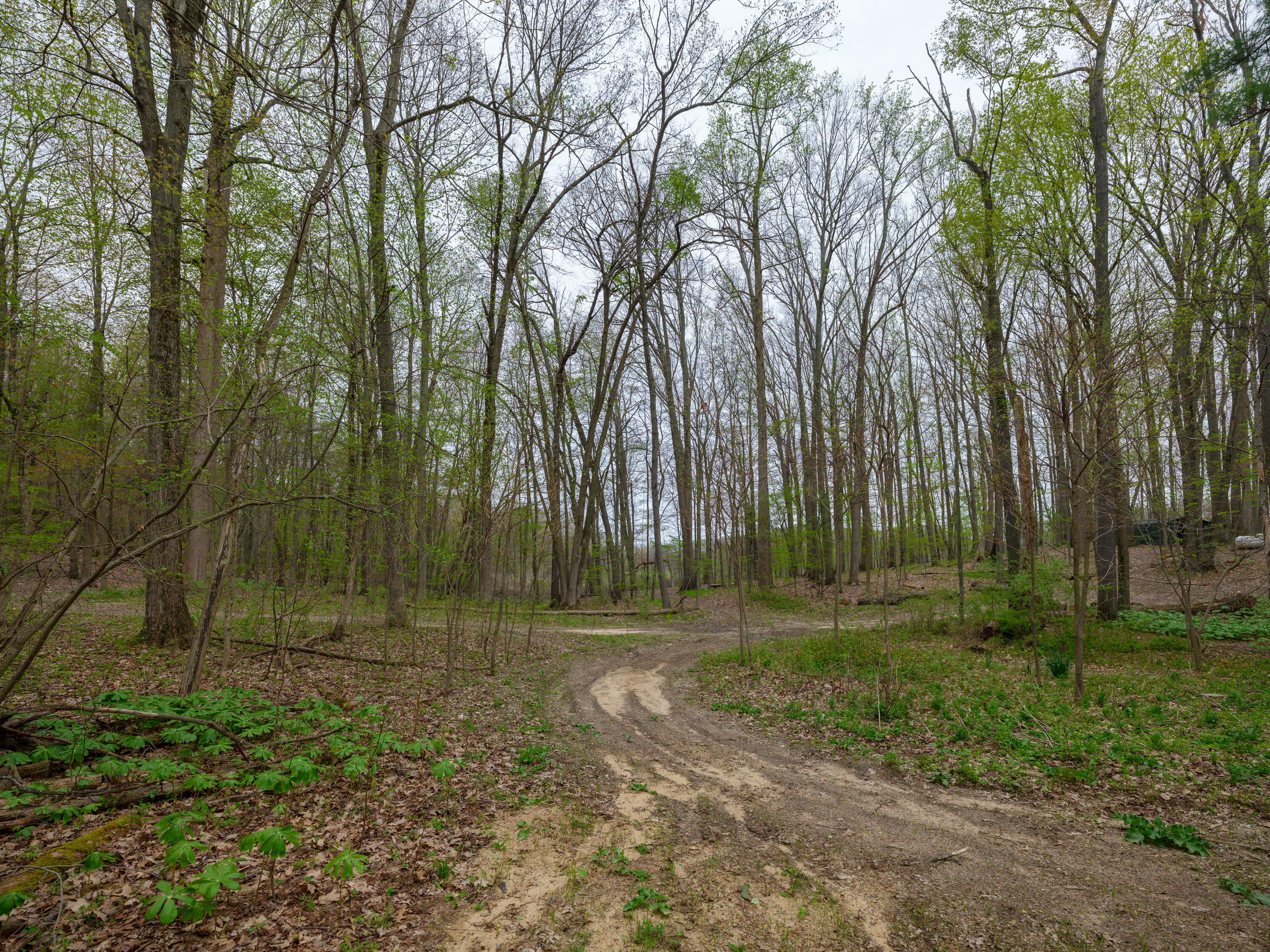 22431 Paulson Road Gobles, MI 49055 - Photo 37 of 52 22431 Paulson Rd Reshoot-204