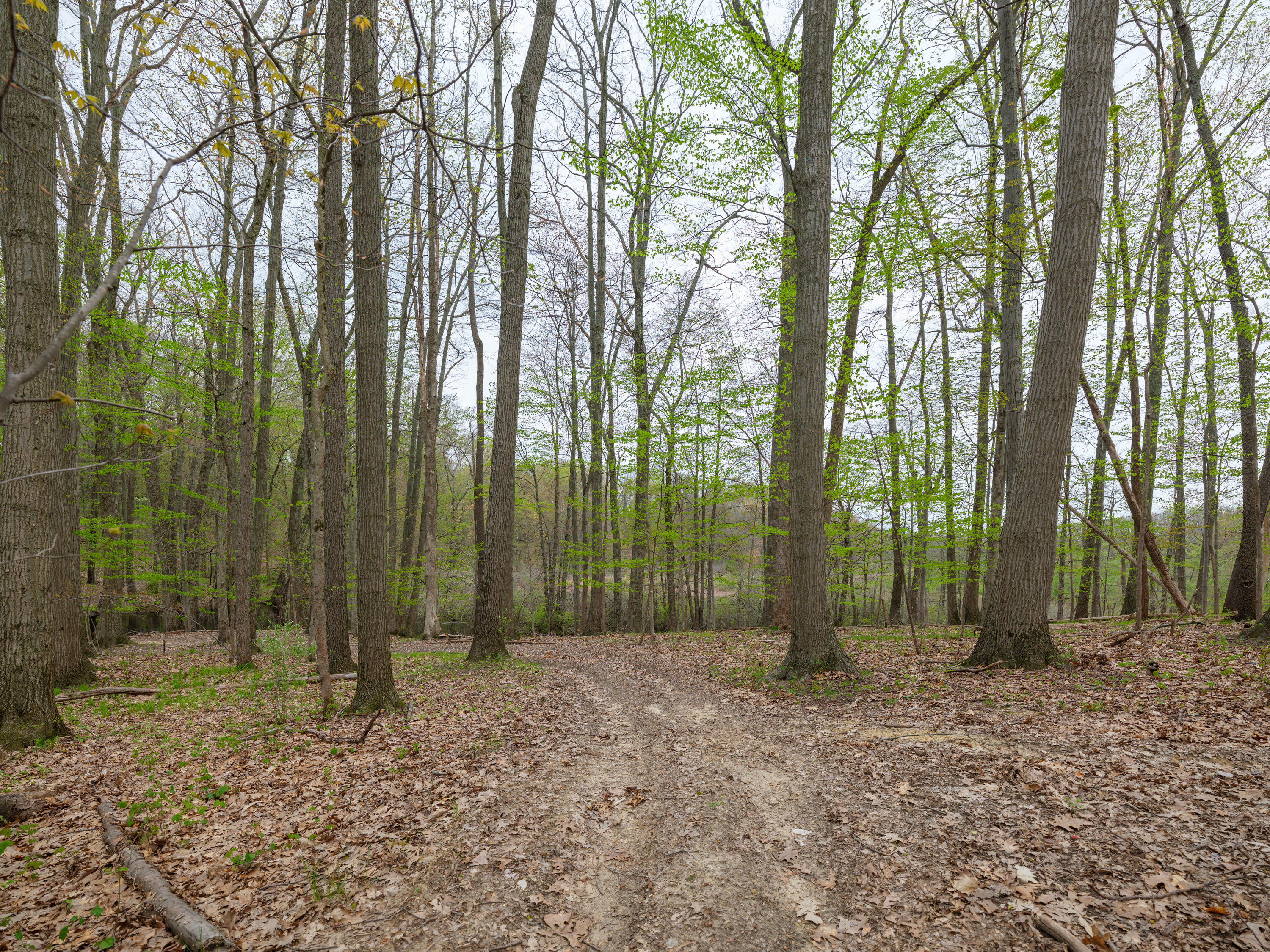 22431 Paulson Road Gobles, MI 49055 - Photo 38 of 52 22431 Paulson Rd Reshoot-211