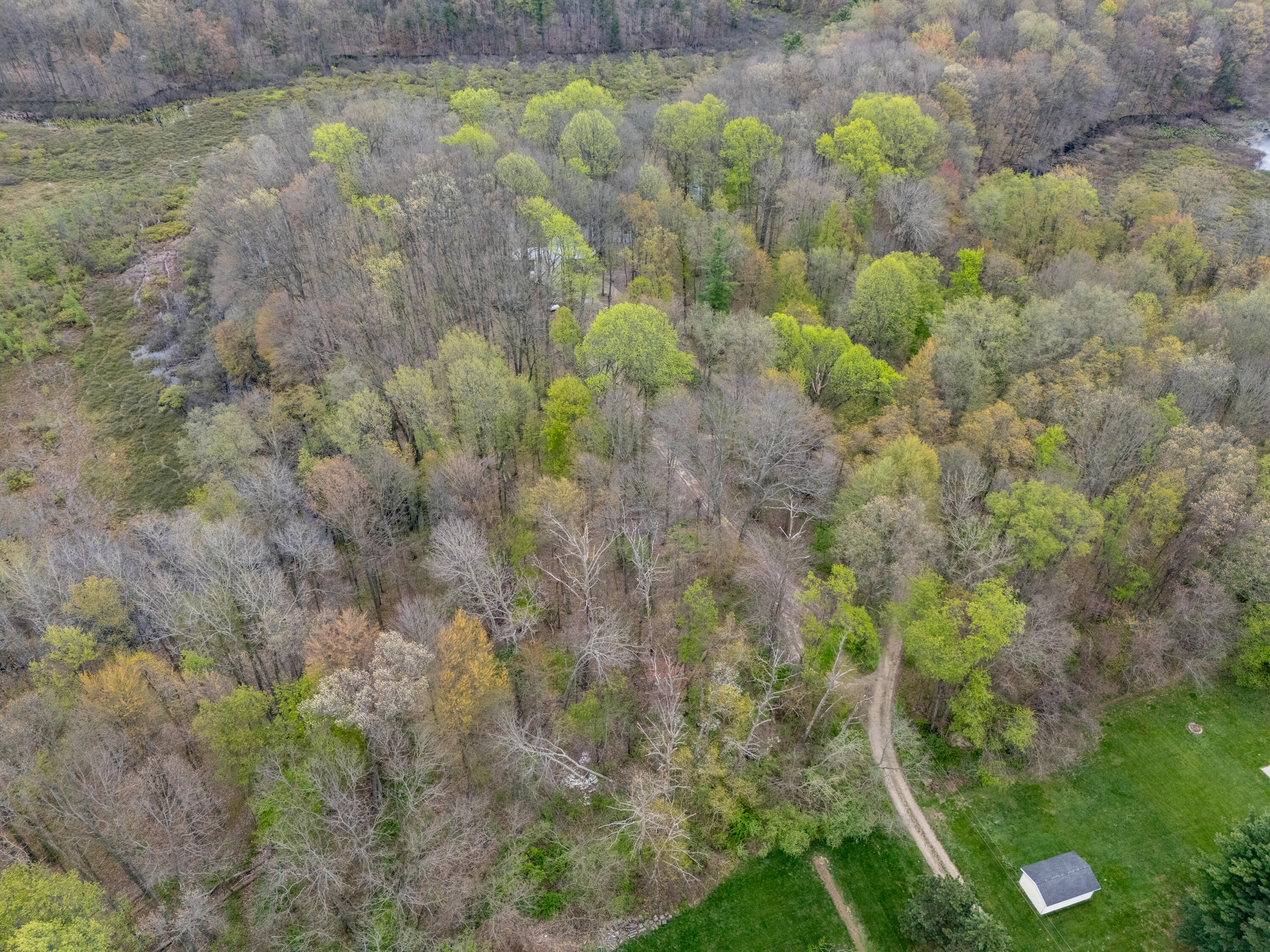 22431 Paulson Road Gobles, MI 49055 - Photo 51 of 52 22431 Paulson Rd Reshoot-509