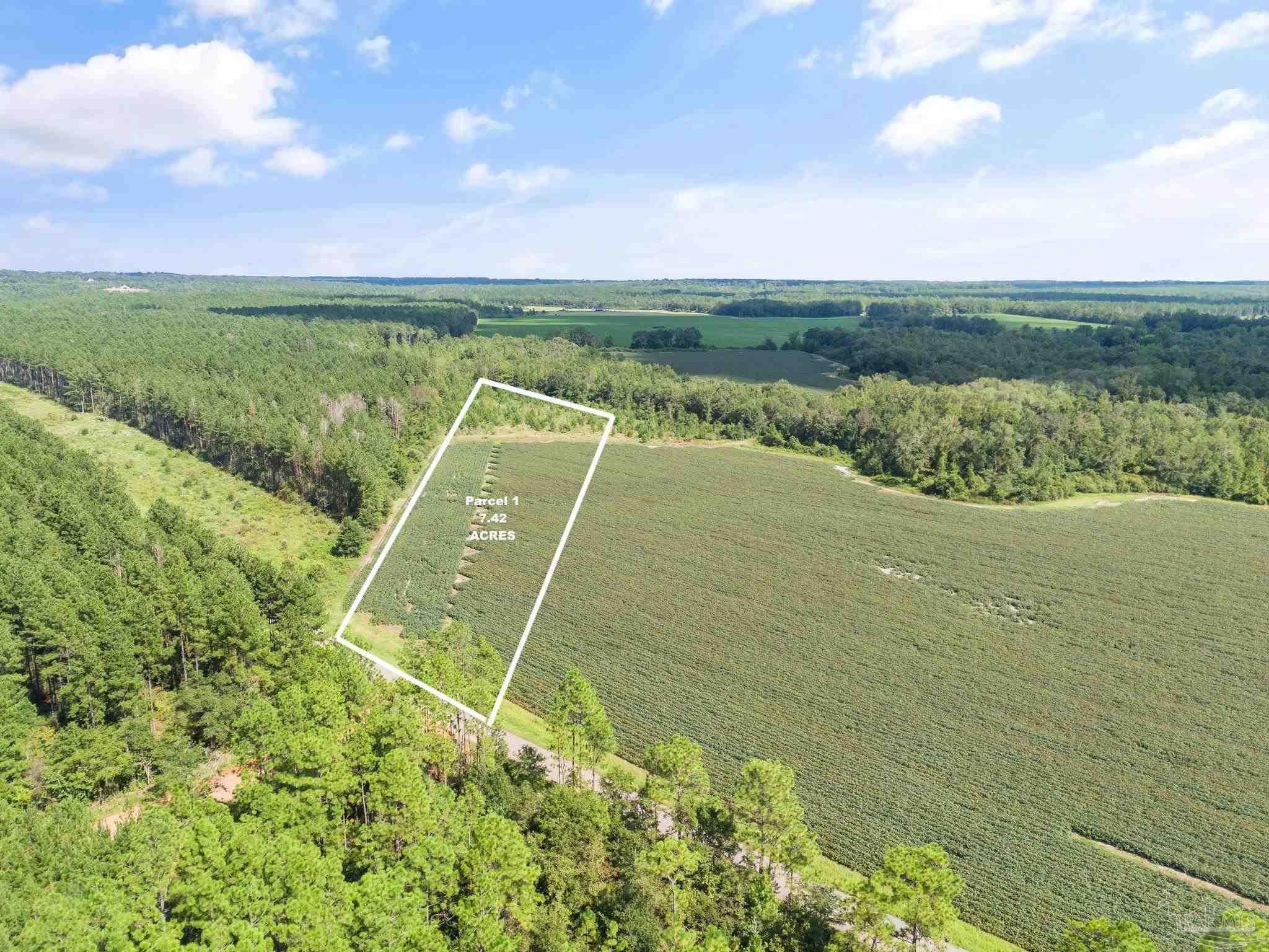 1 Mineral Springs Road Jay, FL 32565 - Photo 2 of 4