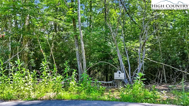 $120,000 | Lot R4 Coyote Trail, Boone, NC 28607