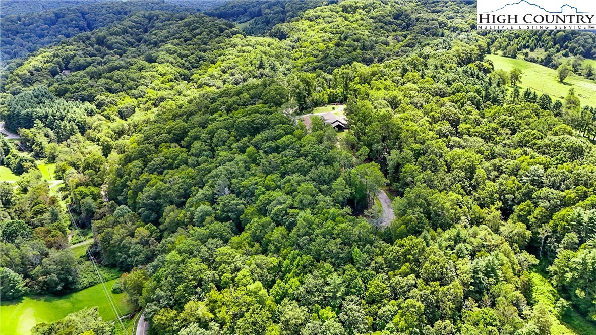 Lot R4 Coyote Trail Boone, NC 28607 - Photo 4 of 13