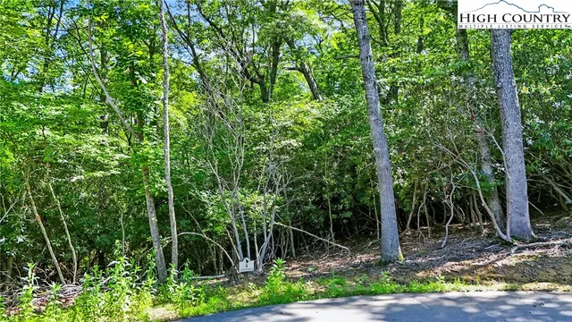 $120,000 | Lot R4 Coyote Trail, Boone, NC 28607