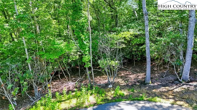 $120,000 | Lot R4 Coyote Trail, Boone, NC 28607