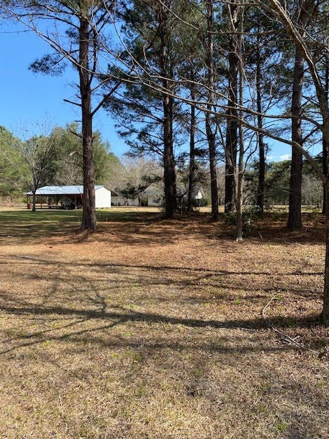 5279 Fiveash Road Hahira, GA 31632 - Photo 9 of 30 Gallery Image 9