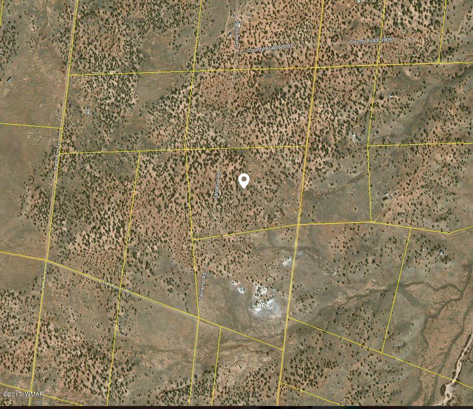 Lot 41 Ranch Road, Unit 30 Concho, AZ 85924 - Photo 1 of 1