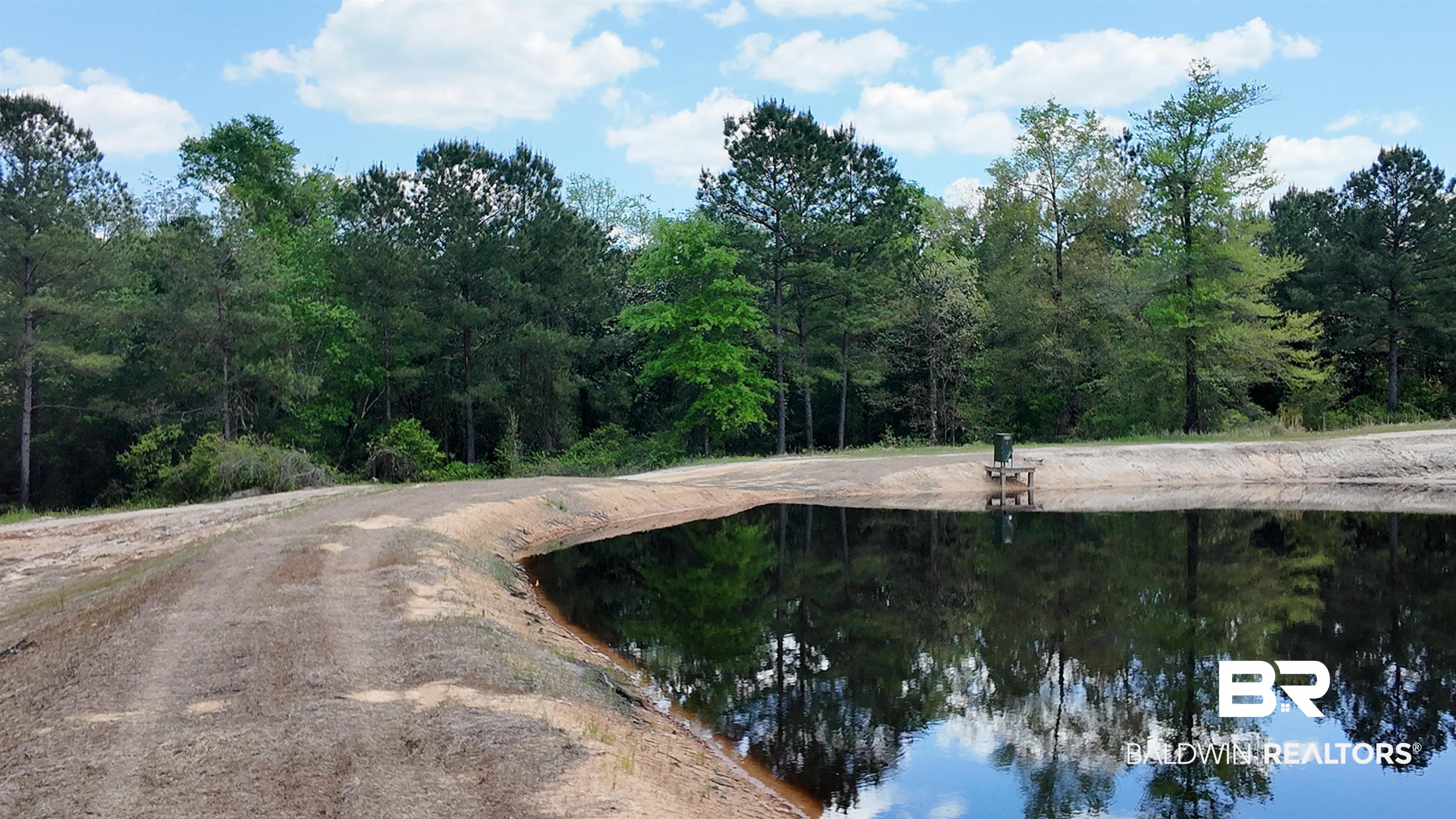0 Powell Road Eight Mile, AL 36613 - Photo 23 of 57