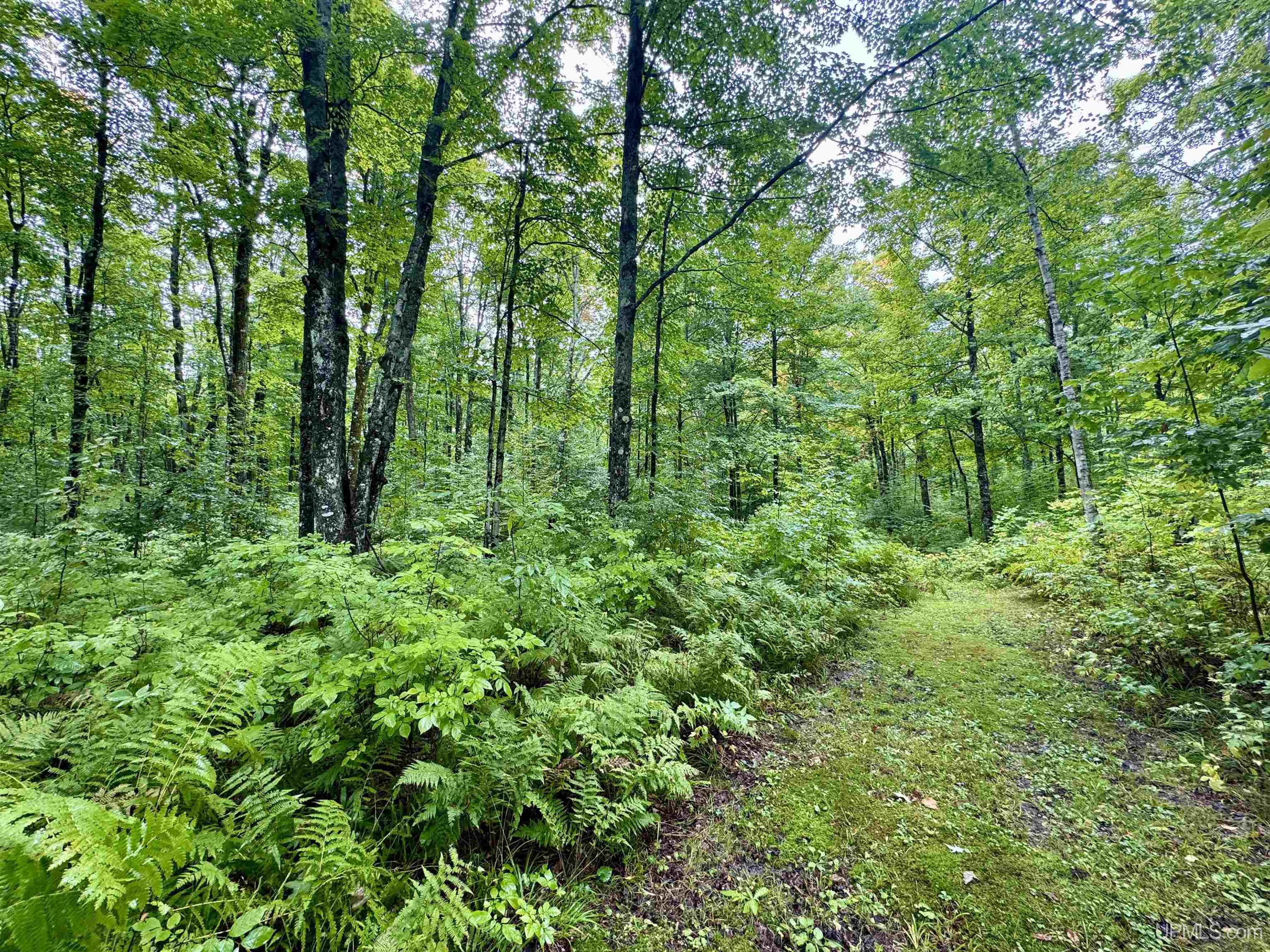 315 Balsam Road Crystal Falls, MI 49920 - Photo 31 of 41 Gallery Image 31