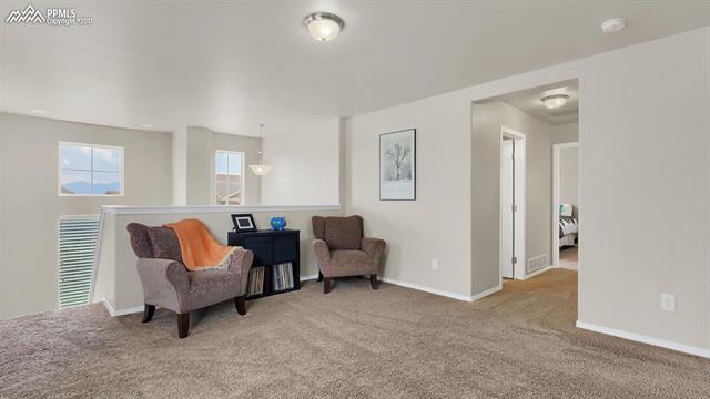 1634 Smokey Ridge Way Colorado Springs, CO 80921 - Photo 20 of 34