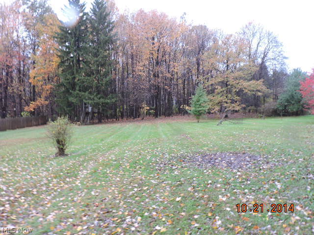 2253 Warner Road Fowler, OH 44418 - Photo 4 of 24 Gallery Image 4