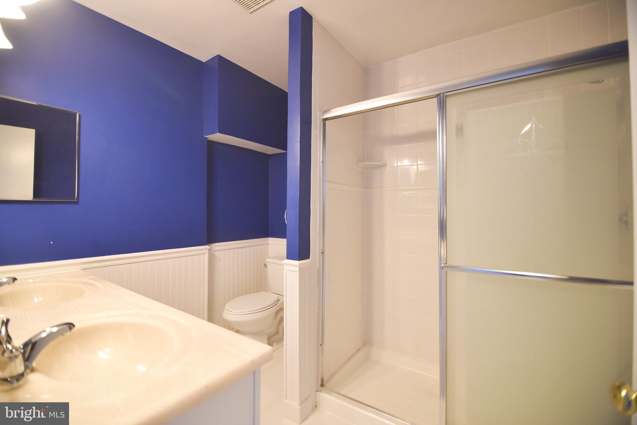 4533 Green Valley Road Monrovia, MD 21770 - Photo 25 of 27 Main Bathroom