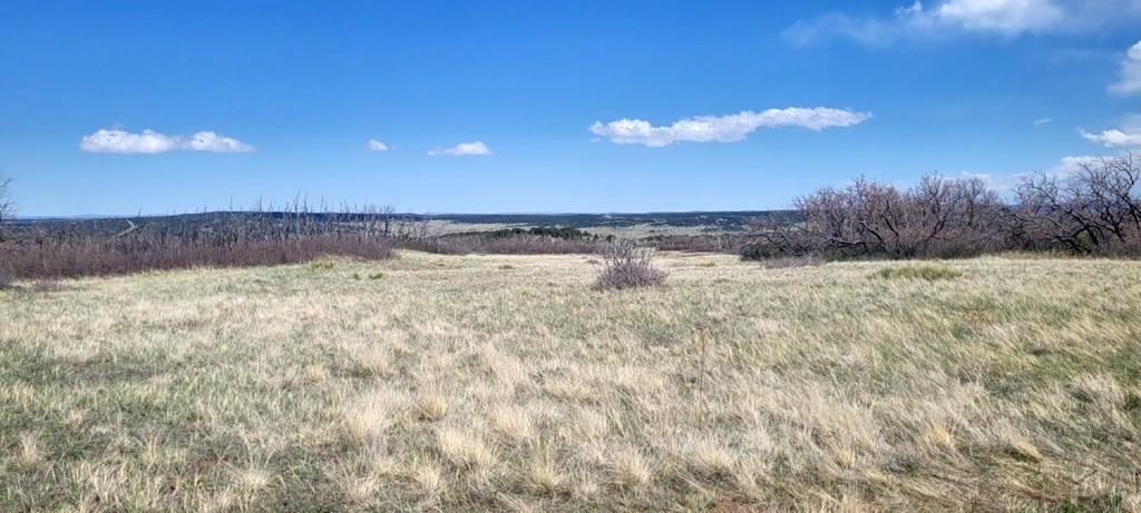 17 A Majors Ranch Road Walsenburg, CO 81089 - Photo 12 of 17