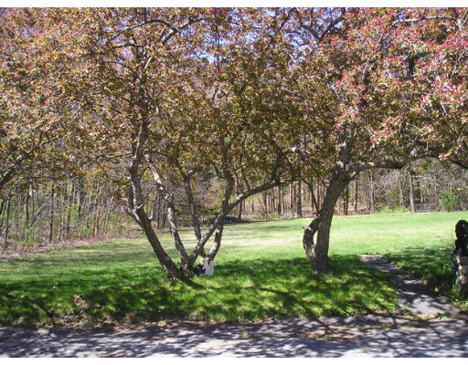 92 Argilla Road Andover, MA 01810 - Photo 9 of 9