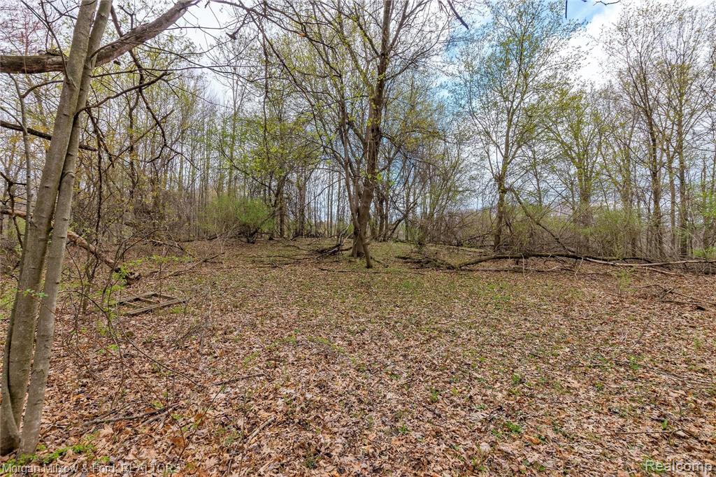 0 Kier Road Auburn Hills, MI 48326 - Photo 17 of 22