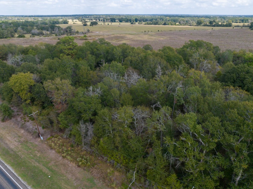 0 Highway 75 Madisonville, TX 77864 - Photo 12 of 16