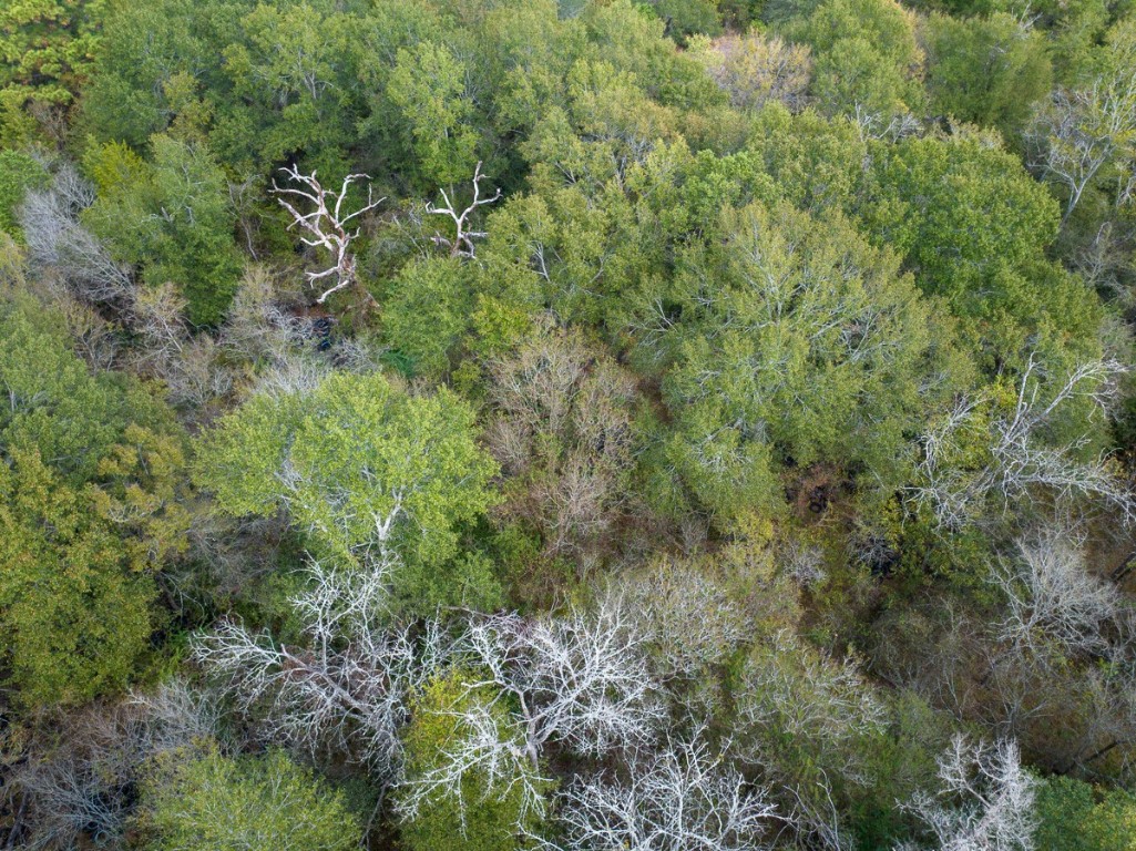0 Highway 75 Madisonville, TX 77864 - Photo 13 of 16