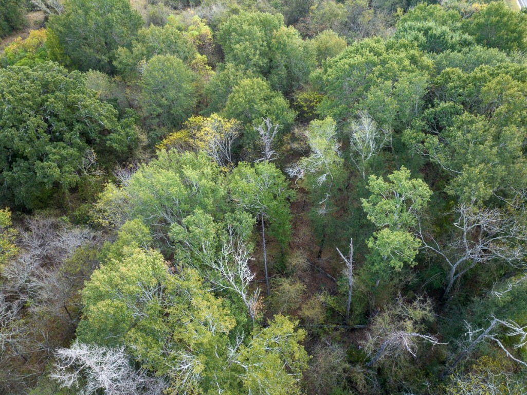 0 Highway 75 Madisonville, TX 77864 - Photo 14 of 16