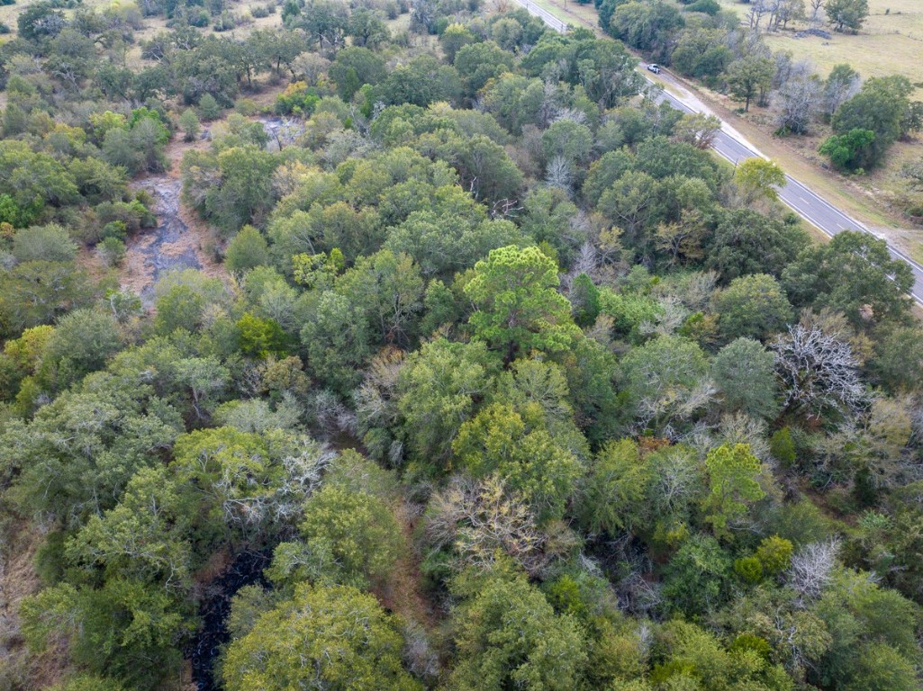 0 Highway 75 Madisonville, TX 77864 - Photo 6 of 16