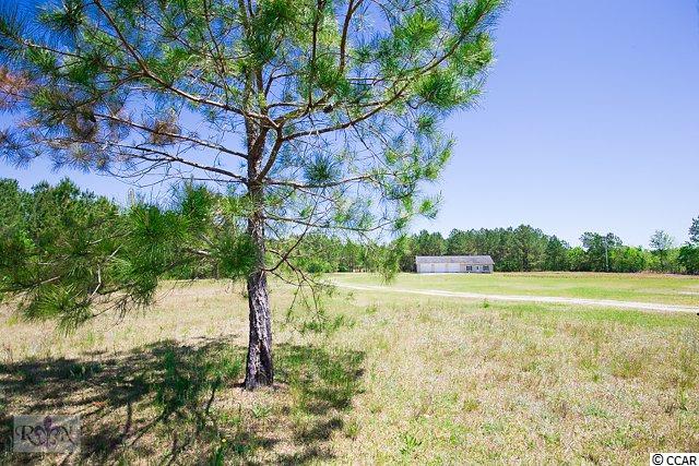 317 Bonnie Bay Road Loris, SC 29569 - Photo 3 of 17 Gallery Image 3