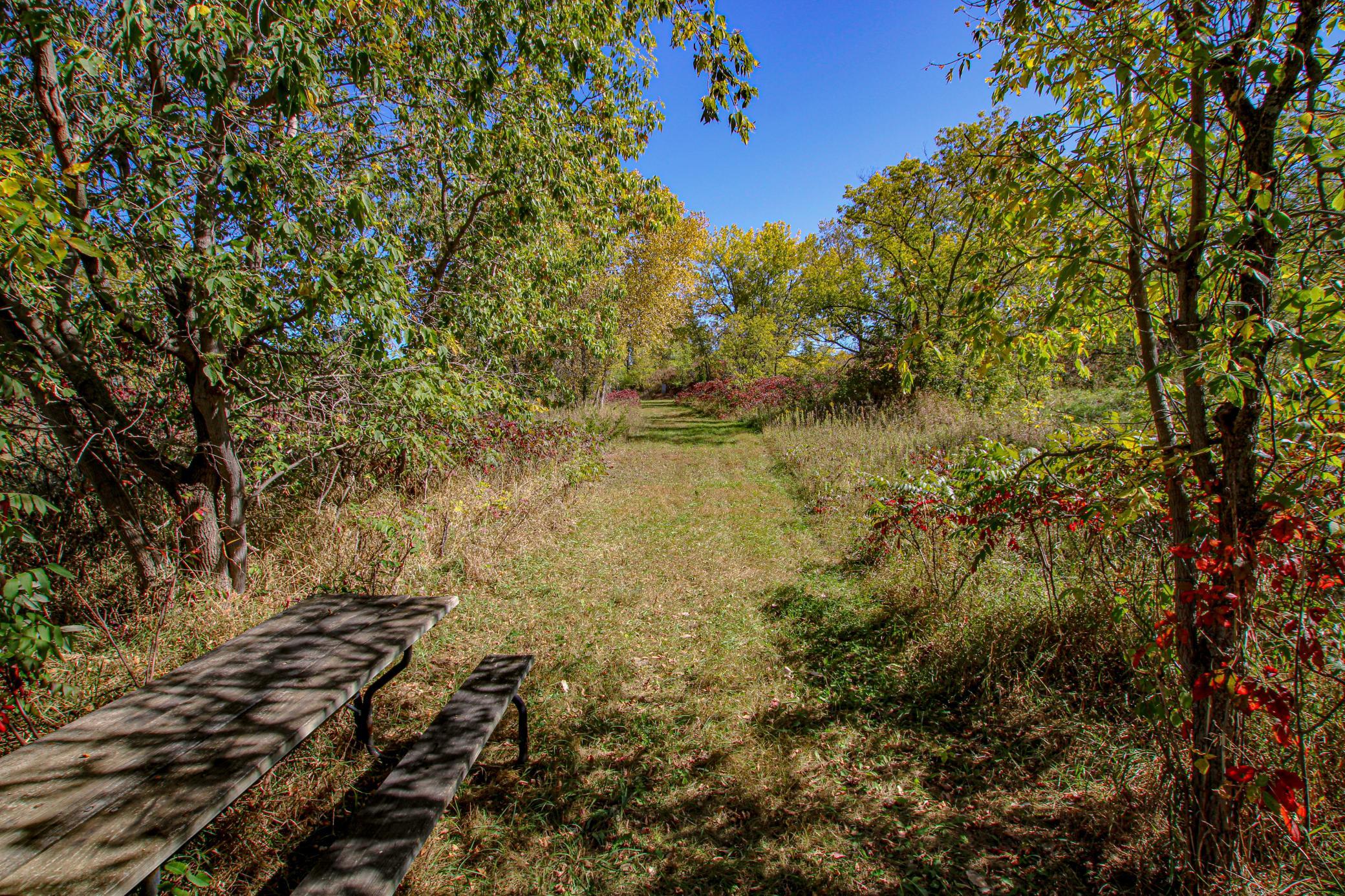 18100 Stockhousen Road Northwest Evansville, MN 56326 - Photo 83 of 90