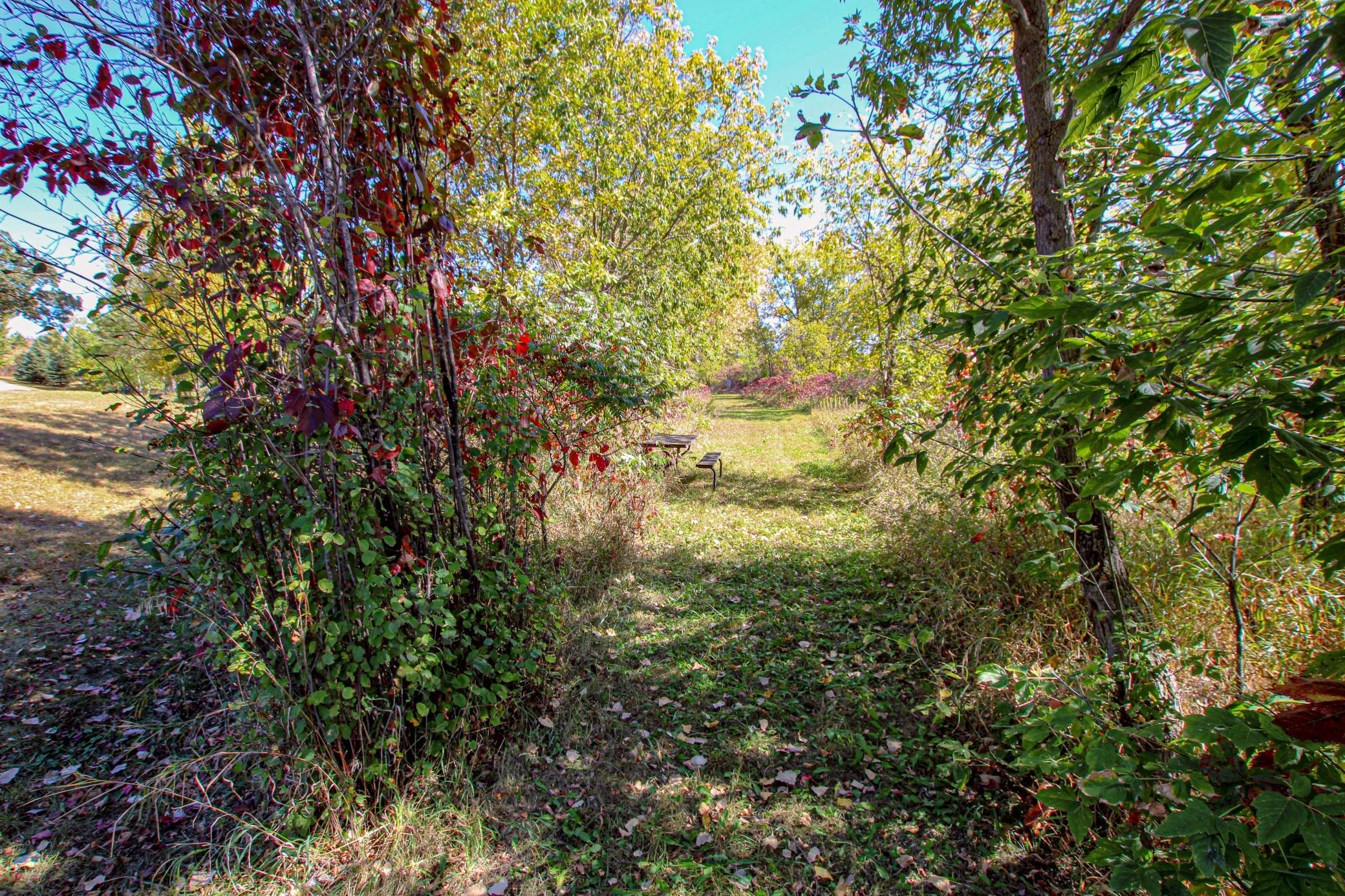 18100 Stockhousen Road Northwest Evansville, MN 56326 - Photo 84 of 90
