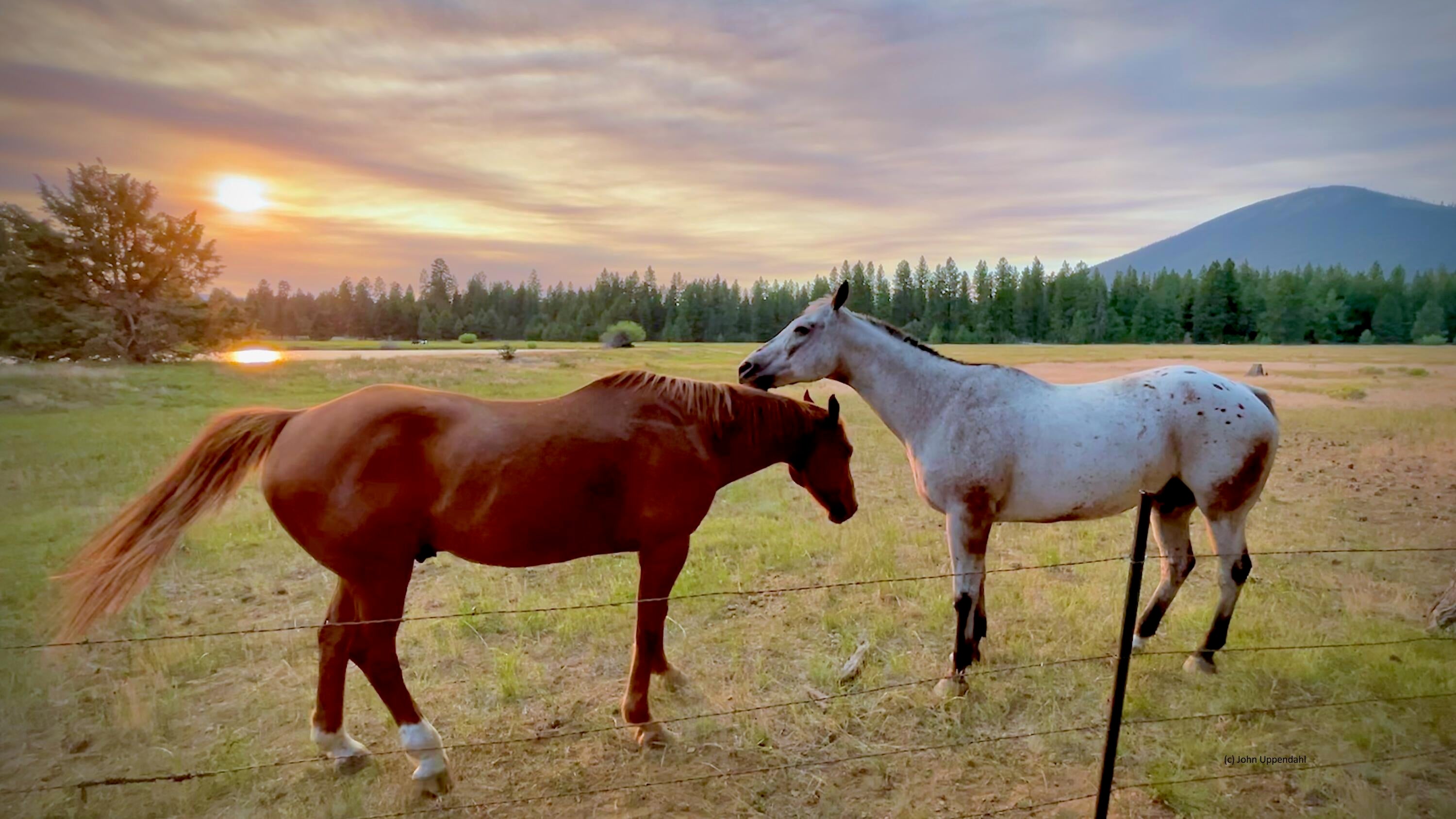 70331 Willow Herb, Unit GM205 Black Butte Ranch, OR 97759 - Photo 11 of 75 A special moment at Sunset
