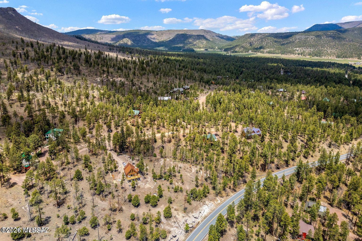 9 County Road Alpine, AZ 85920 - Photo 13 of 15 13