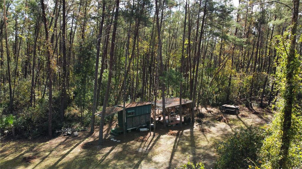 0 5th Street Altoona, FL 32702 - Photo 3 of 18