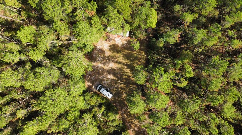 0 5th Street Altoona, FL 32702 - Photo 7 of 18