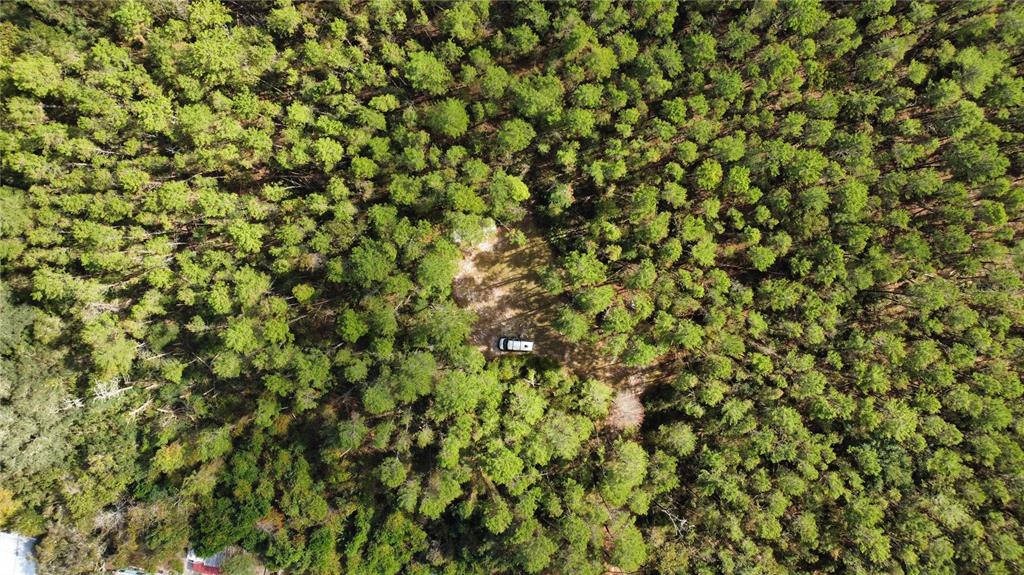 0 5th Street Altoona, FL 32702 - Photo 8 of 18