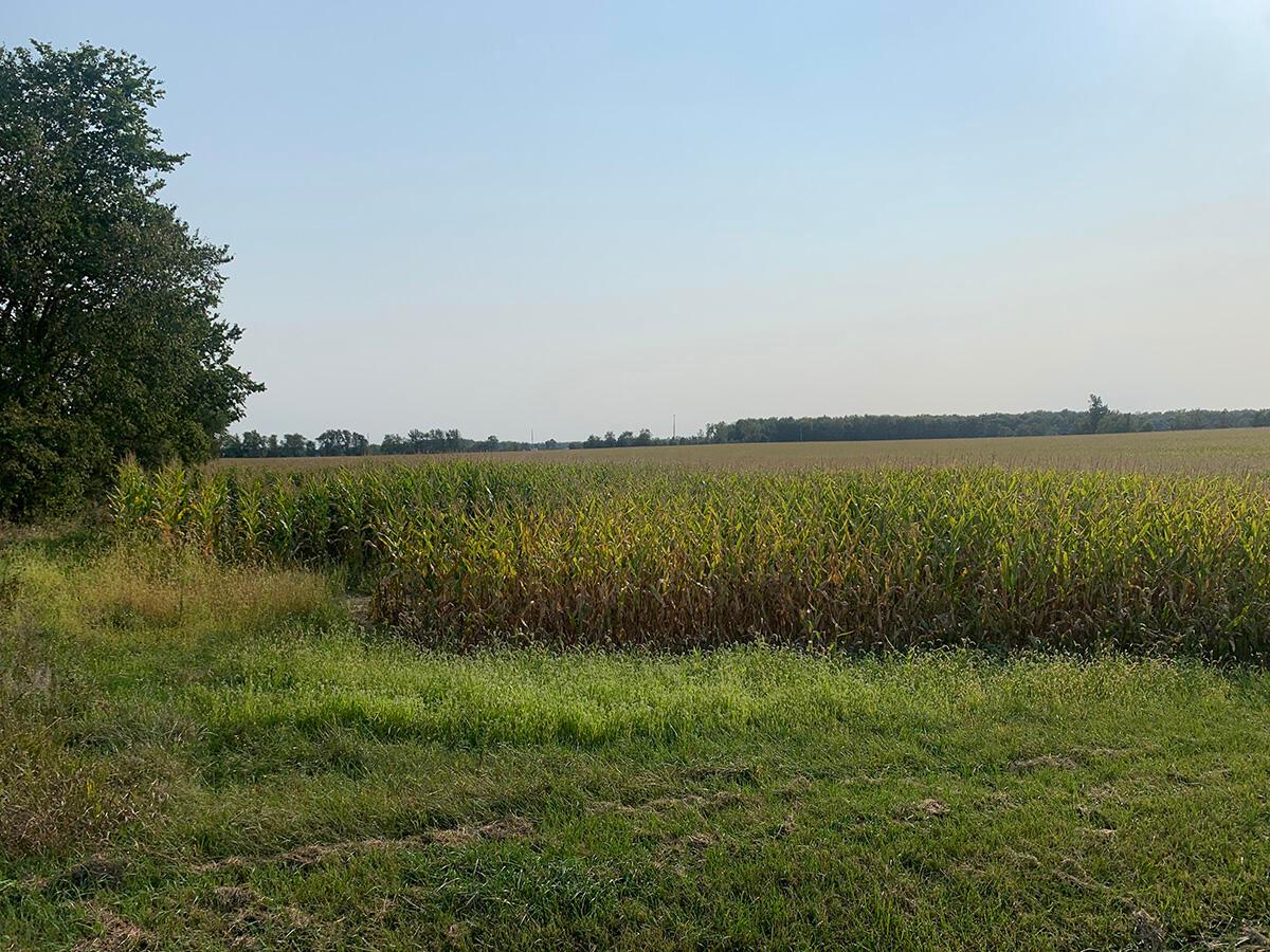 0 Rapp-Dean Road Raymond, OH 43067 - Photo 15 of 29