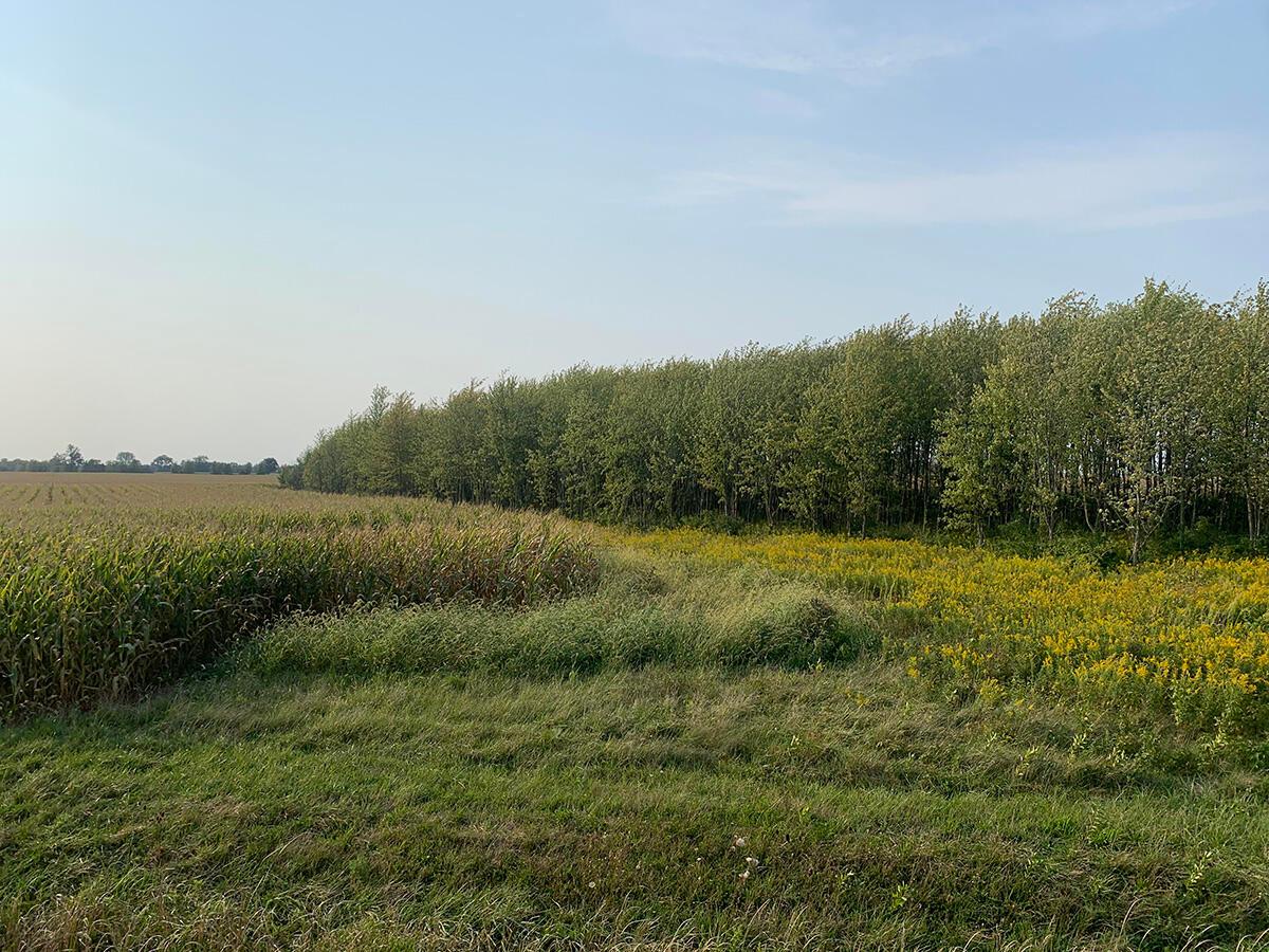 0 Rapp-Dean Road Raymond, OH 43067 - Photo 20 of 29